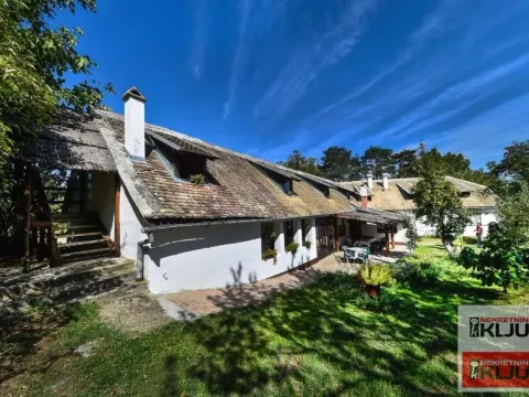 Sale, house, 334m², Beočin, Srbija - image 2