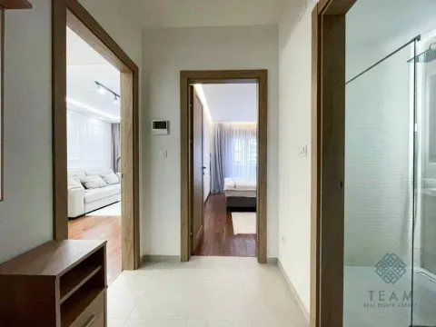 Rent, one bedroom apartment, 54m², Master Kvart, Podgorica - image 9