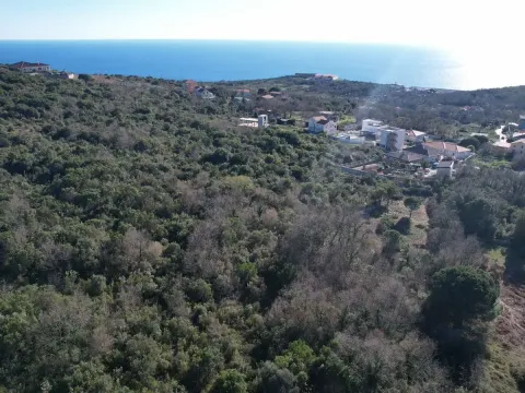 Prodaja, plac, 2450m², Krimovica, Kotor - image 11