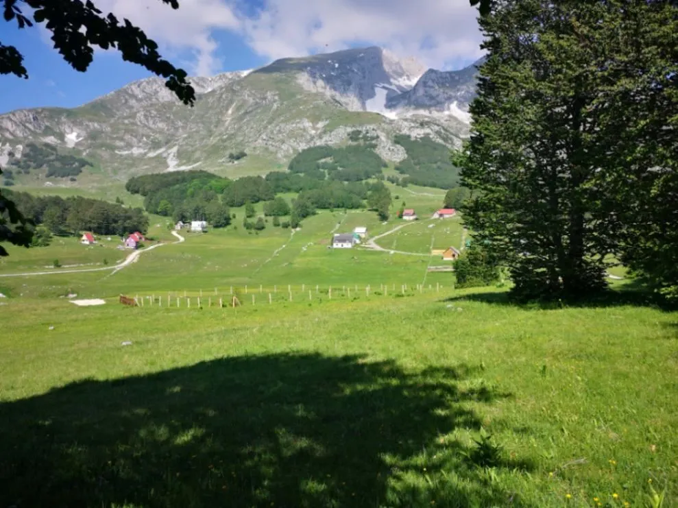 Prodaja, plac, 11500m², Pošćenski Kraj, Žabljak
