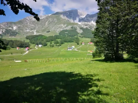 Prodaja, plac, 11500m², Pošćenski Kraj, Žabljak - image 2