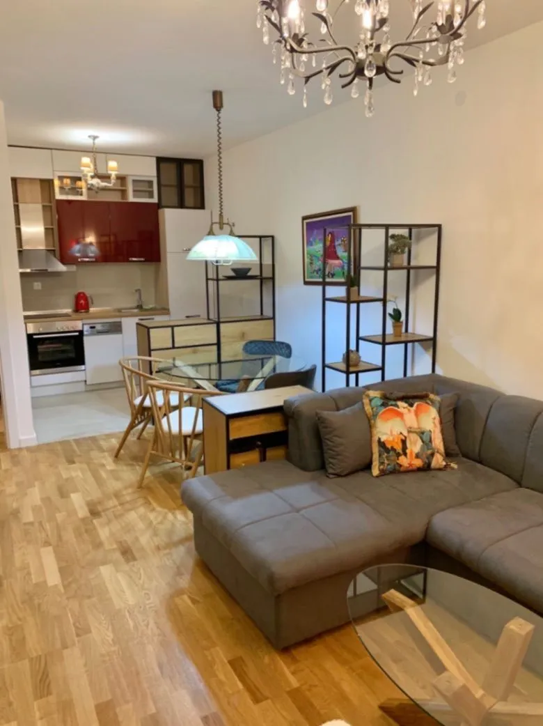 Rent, one bedroom apartment, 46m², Zabjelo, Podgorica
