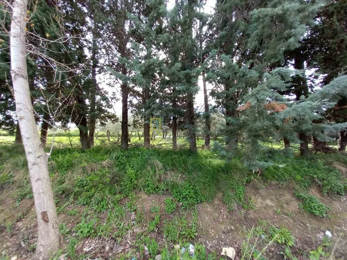 Prodaja, plac, 1113m², Ulcinj, Crna Gora