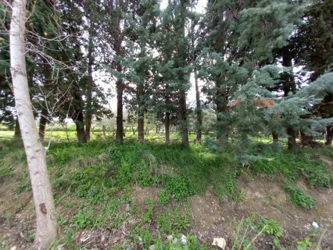 Sale, land lot, 1113m², Ulcinj, Crna Gora - image 3