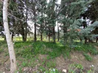 Prodaja, plac, 1113m², Ulcinj, Crna Gora - image 3