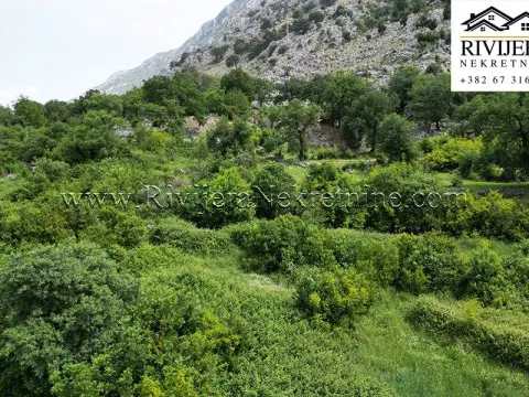 Prodaja, plac, 3226m², Dobrota, Kotor - image 2