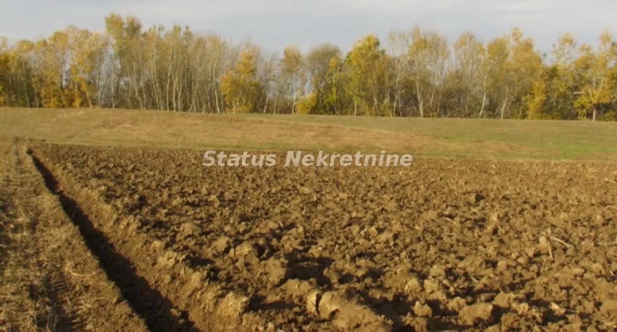 Prodaja, plac, 604m², Sremska Mitrovica, Srbija