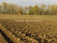 Prodaja, plac, 604m², Sremska Mitrovica, Srbija - image 5