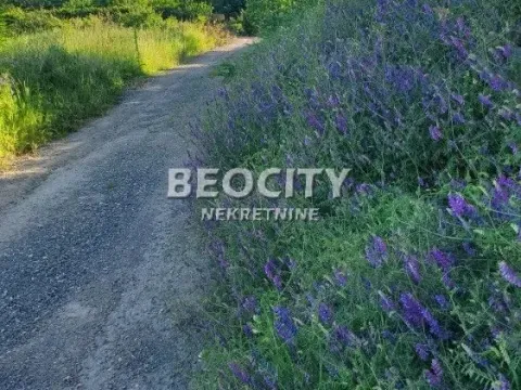 Prodaja, plac, 19m², Mirijevo, Žabari - image 16