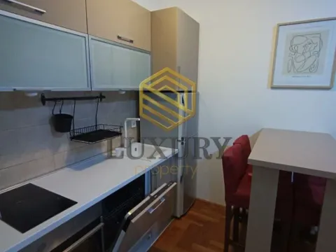 Izdavanje, jednosoban stan, 40m², Zabjelo, Podgorica - image 3