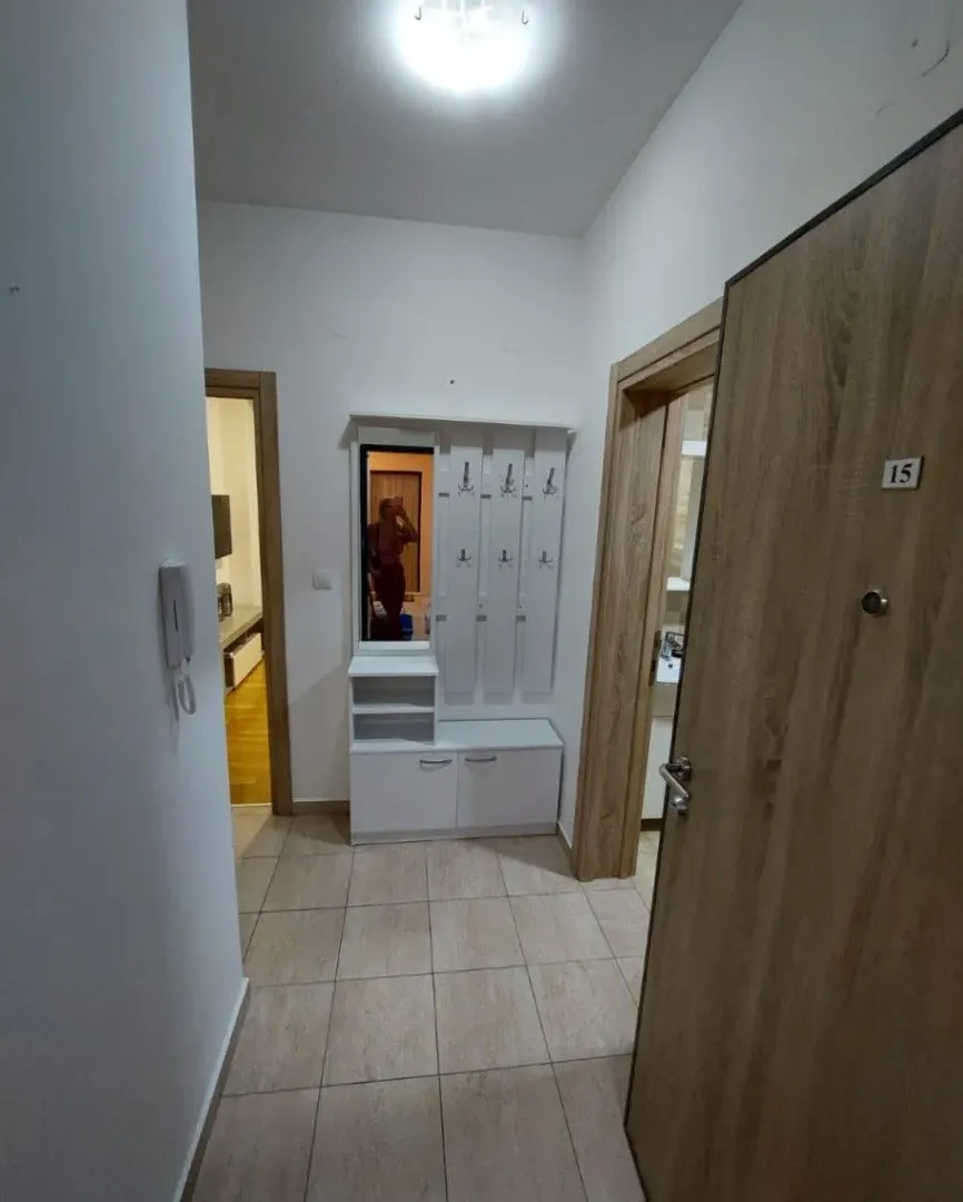 Izdavanje, jednosoban stan, 42m², Ljubović, Podgorica