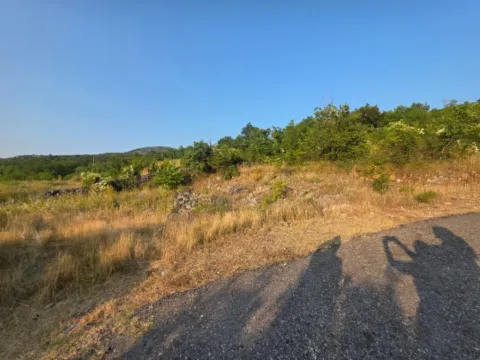 Sale, land lot, 5000m², Rogami, Podgorica - image 3