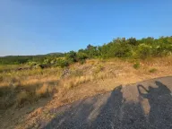 Prodaja, plac, 5000m², Rogami, Podgorica - image 3