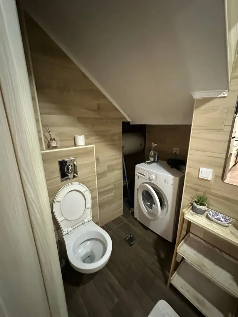 Manje kupatilo sa WC šoljom i veš mašinom.