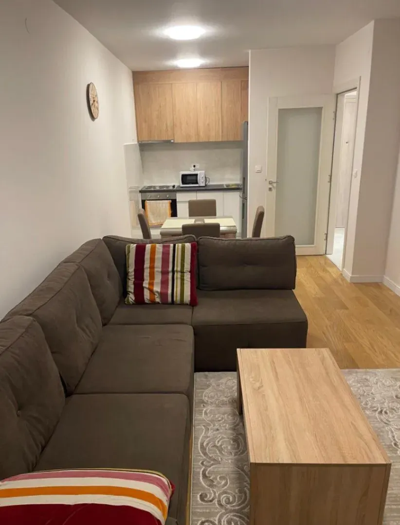 Izdavanje, jednosoban stan, 47m², Central Point, Podgorica