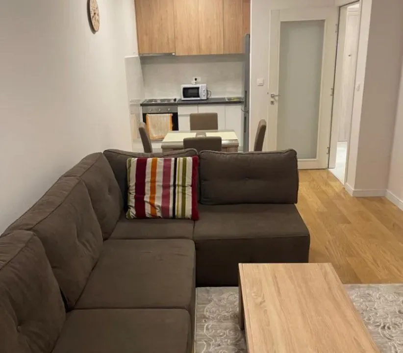 Izdavanje, jednosoban stan, 47m², Central Point, Podgorica