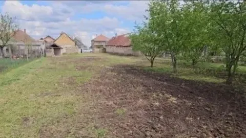 Prodaja, kuća, 84m², Žabalj, Srbija - image 5