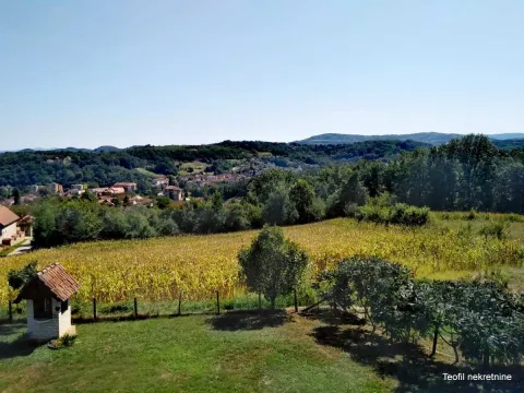 Prodaja, kuća, 479m², Ljig, Srbija - image 12