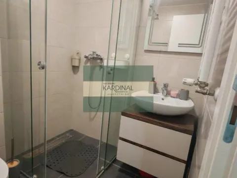 Izdavanje, jednosoban stan, 47m², Bubanj, Kragujevac - image 9