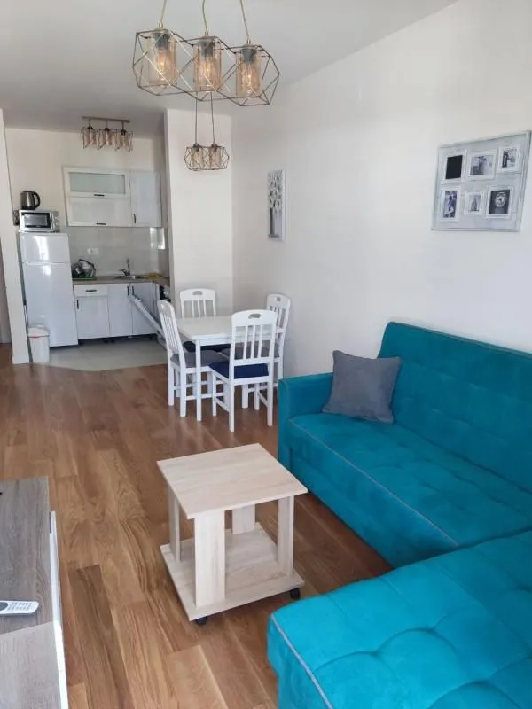 Rent, one bedroom apartment, 43m², Central Point, Podgorica