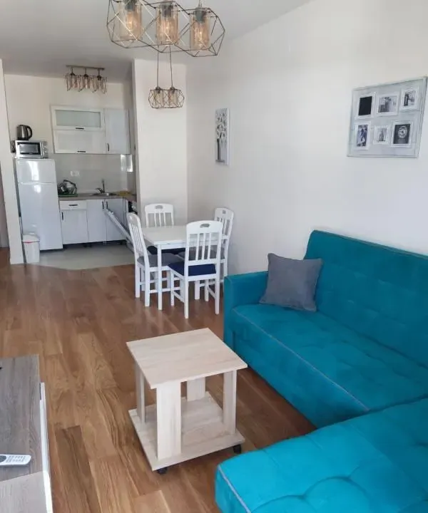 Rent, one bedroom apartment, 43m², Central Point, Podgorica