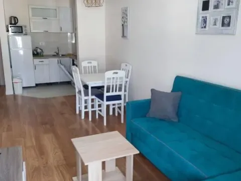 Rent, one bedroom apartment, 43m², Central Point, Podgorica - image 1