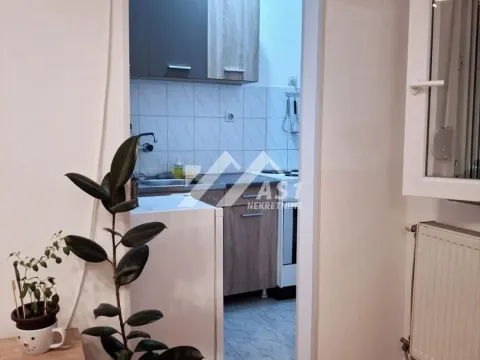 Izdavanje, stan, 22m², Sajam, Novi Sad Sve Podlokacije - image 5