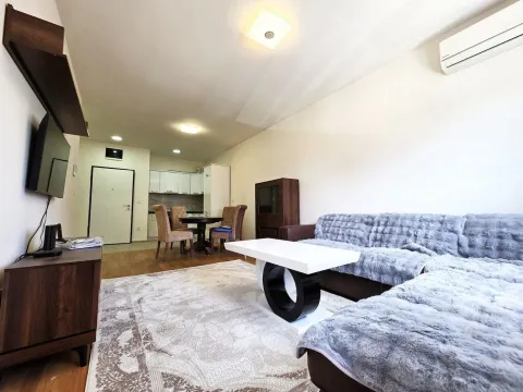 Rent, one bedroom apartment, 47m², Stari Aerodrom, Podgorica - image 3