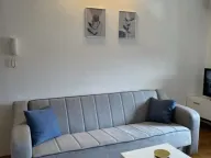 Izdavanje, jednosoban stan, 42m², Stari Aerodrom, Podgorica - image 4