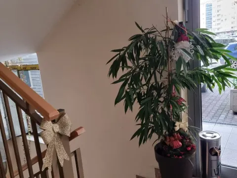 Rent, apartment, 34m², City Kvart, Podgorica - image 13