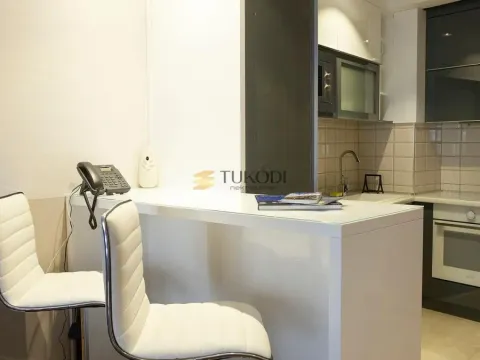 Izdavanje, trosoban stan, 75m², Vračar Hram, Vračar Sve Podlokacije - image 7