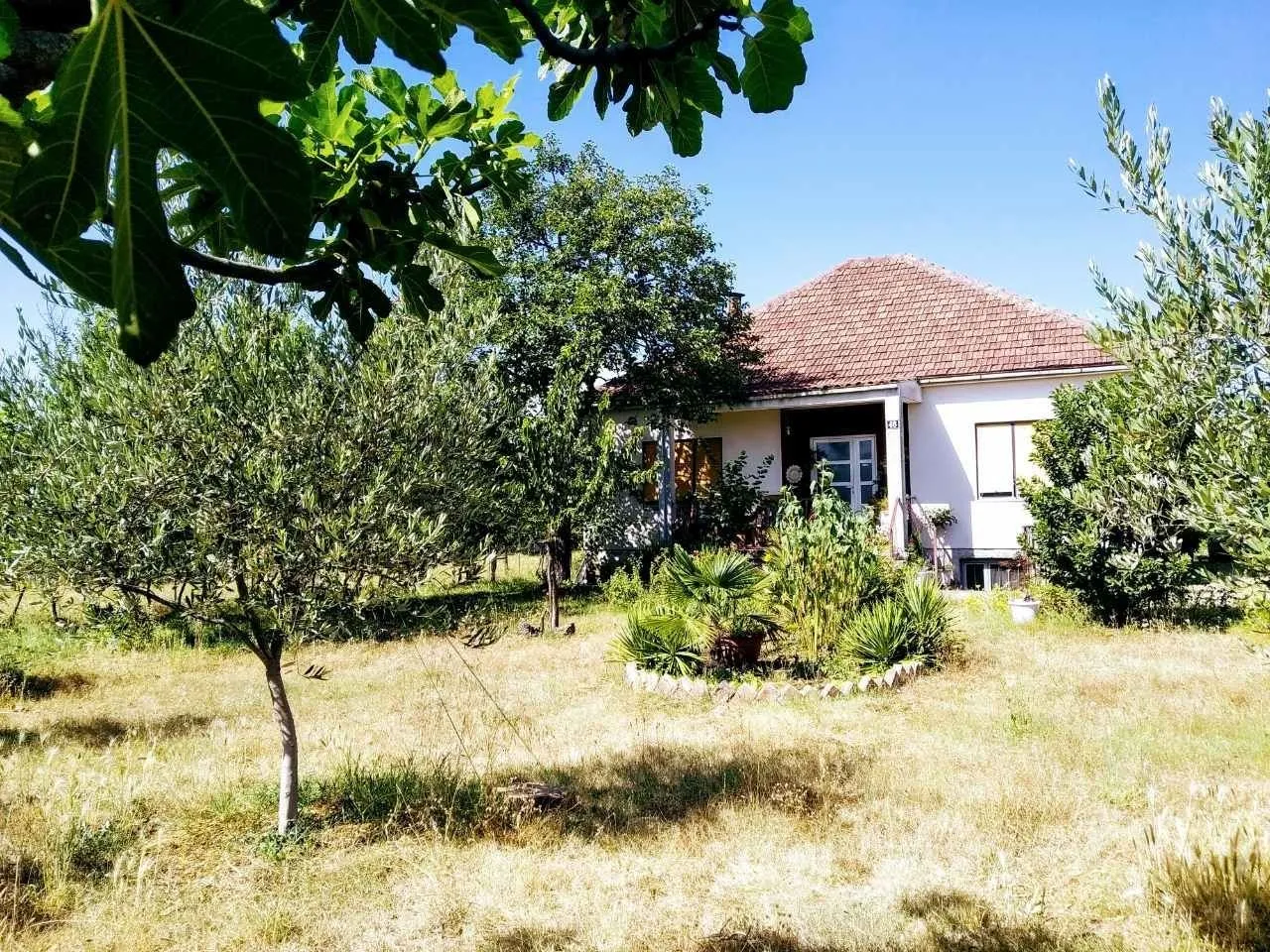 Porodična kuća sa uređenim dvorištem i zelenilom.