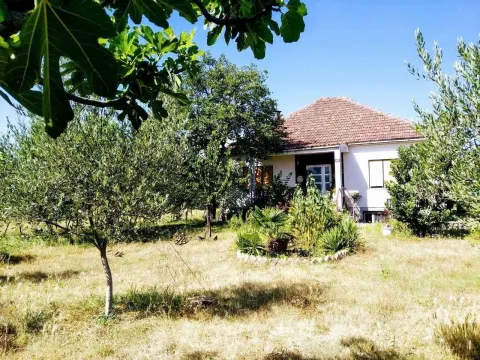 Porodična kuća sa uređenim dvorištem i zelenilom. - image 2