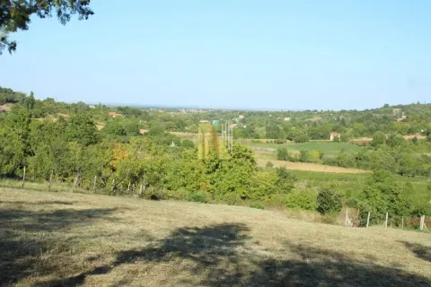 Pogled na zeleni pejzaž i prirodu sa placa. - image 3