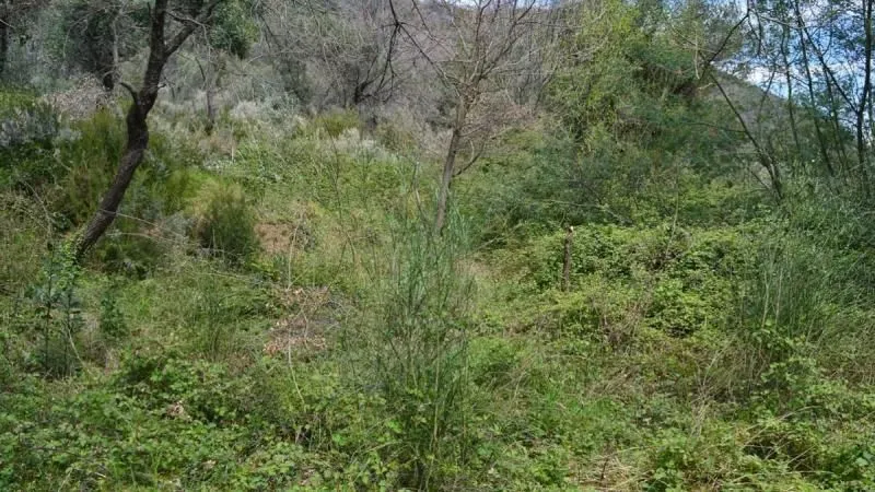 Prodaja, plac, 500m², Kumbor, Herceg Novi
