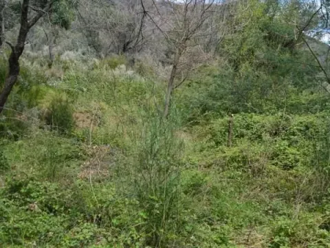 Prodaja, plac, 500m², Kumbor, Herceg Novi - image 4