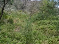 Prodaja, plac, 500m², Kumbor, Herceg Novi - image 4