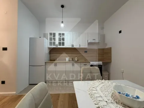 Izdavanje, jednosoban stan, 47m², Donja Gorica, Podgorica - image 4