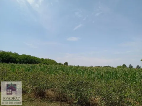 Sale, house, 270m², Mesarci, Vladimirci - image 15