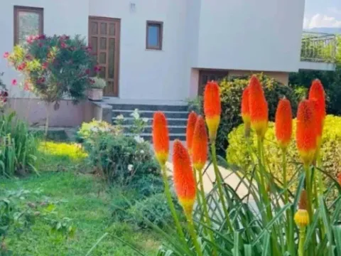 Prodaja, kuća, 102m², Danilovgrad, Crna Gora - image 9