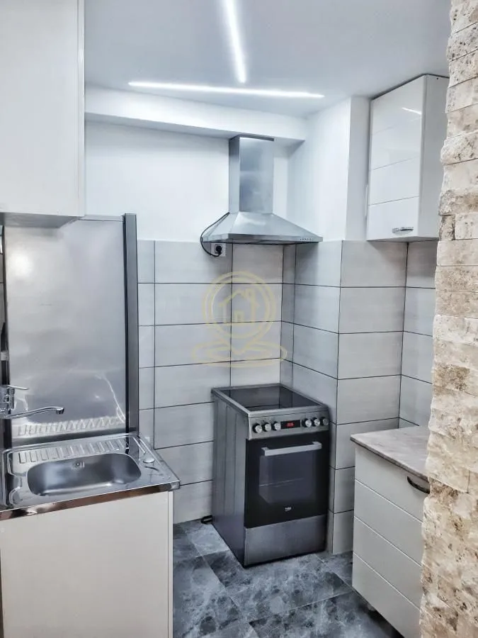 Izdavanje, dvosoban stan, 42m², Centar, Novi Sad