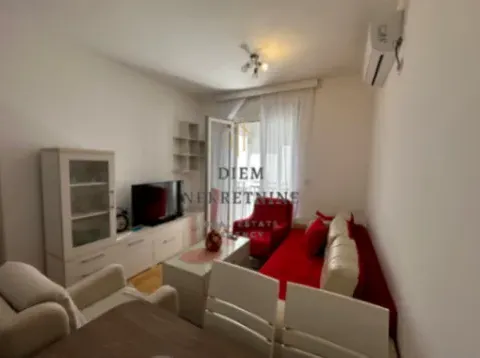 Izdavanje, jednosoban stan, 32m², Stari Aerodrom, Podgorica - image 2