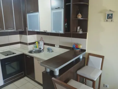Izdavanje, jednosoban stan, 42m², Krivi Most, Podgorica - image 4