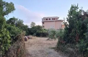Prodaja, plac, 2000m², Dobre Vode, Bar - Ansicht 2