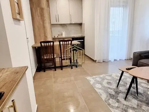 Izdavanje, jednosoban stan, 36m², Donja Gorica, Podgorica - image 6