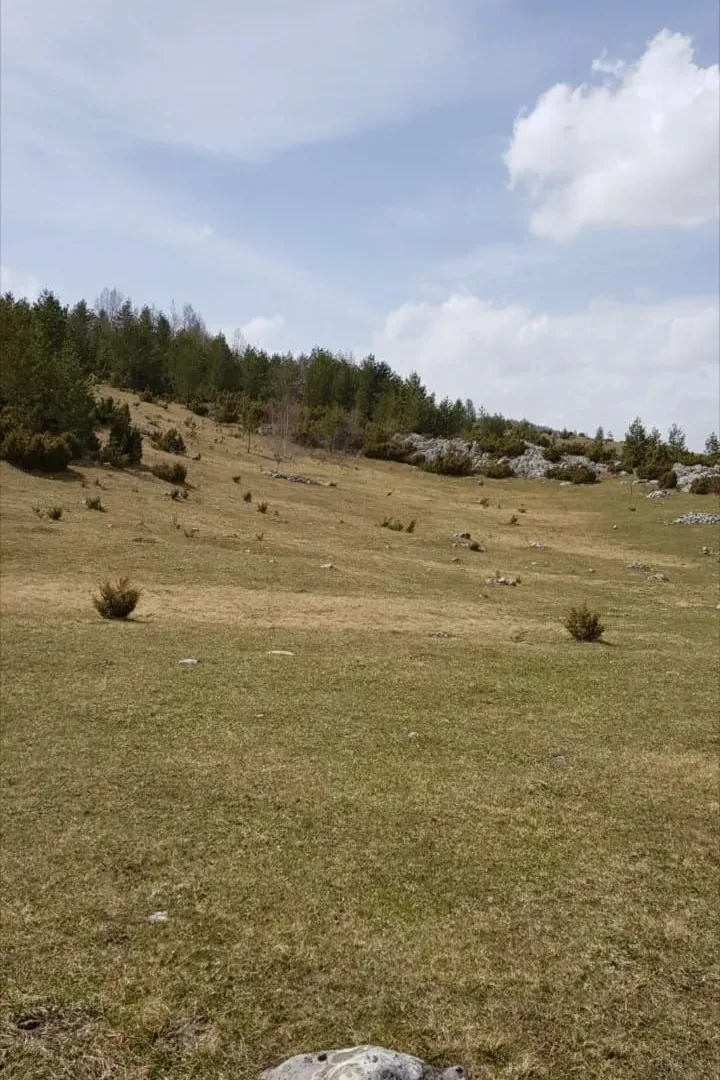 Prodaja, plac, 28400m², Žabljak, Crna Gora