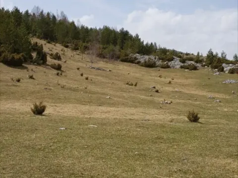 Prodaja, plac, 28400m², Žabljak, Crna Gora - image 2