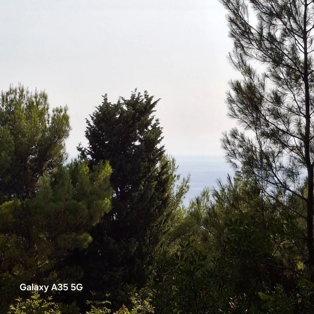 Sale, land lot, 1500m², Zeleni Pojas, Bar