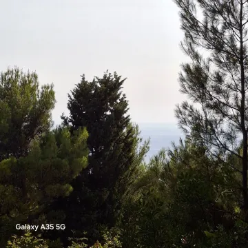 Sale, land lot, 1500m², Zeleni Pojas, Bar - image 4