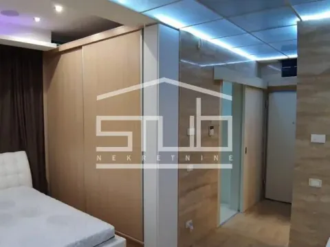 Izdavanje, jednosoban stan, 48m², Dedinje Sve Podlokacije, Beograd - image 2